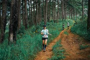 BIB: 
                            <button type="button" onclick="openModal(25677400)" class="btn btn-primary btn-sm float-right btn-popup" data-toggle="modal" data-target=".modal-high-quality">
                        <i class="fas fa-shopping-cart"></i> Add to Cart
                    </button>
                                            <button type="button" onclick="isThisMe(25677400, true)" class="btn btn-success btn-sm float-right btn-popup btn-isme hidden" data-toggle="tooltip" data-placement="bottom" title="นี่คือรูปของคุณใช่ไหม คลิกที่นี่เพื่อเอาเข้าอัลบั้ม">
                        <i class="fas fa-plus"></i> Add to album
                    </button>
                    <button type="button" onclick="isThisMe(25677400, false)" class="btn btn-warning btn-sm float-right btn-popup btn-isnotme hidden">
                        <i class="fas fa-ban"></i> Remove from album
                    </button>